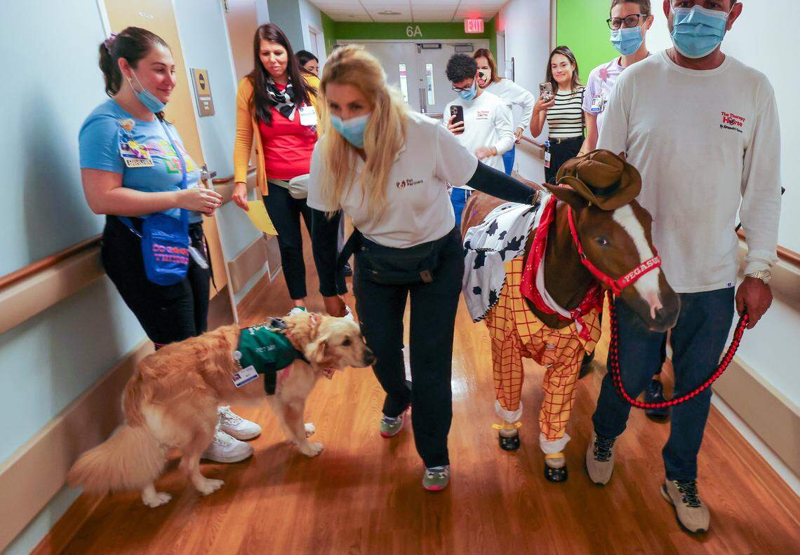 Mahi, a golden retriever and Labrador mix therapy dog, crosses paths with Pegasus as Alexandra Ramos, center, visits young patients at the Holtz Children’s Hospital at Jackson Memorial on Thursday, Aug. 15, 2025, in Miami. 