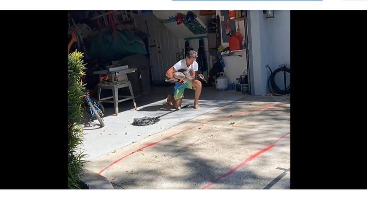 Crane rescue in Indian River, Florida