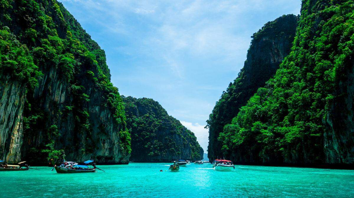 The creature was spotted between Phuket and the Phi Phi Islands, witnesses said.
