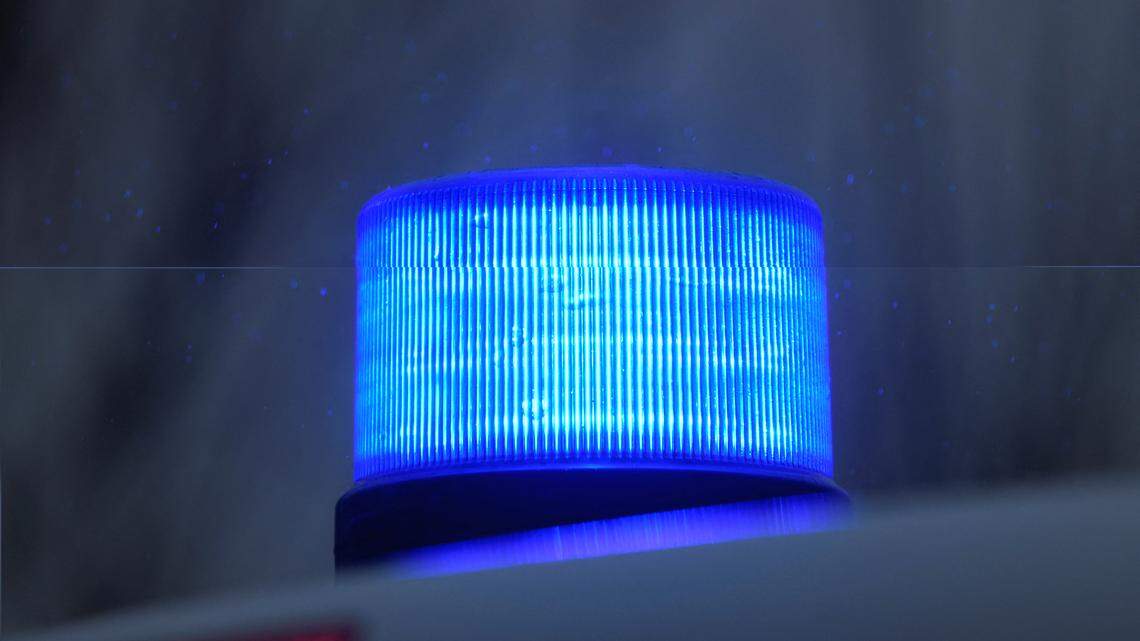 Police used force after hundreds of protesters tried to enter a Wisconsin beagle facility.