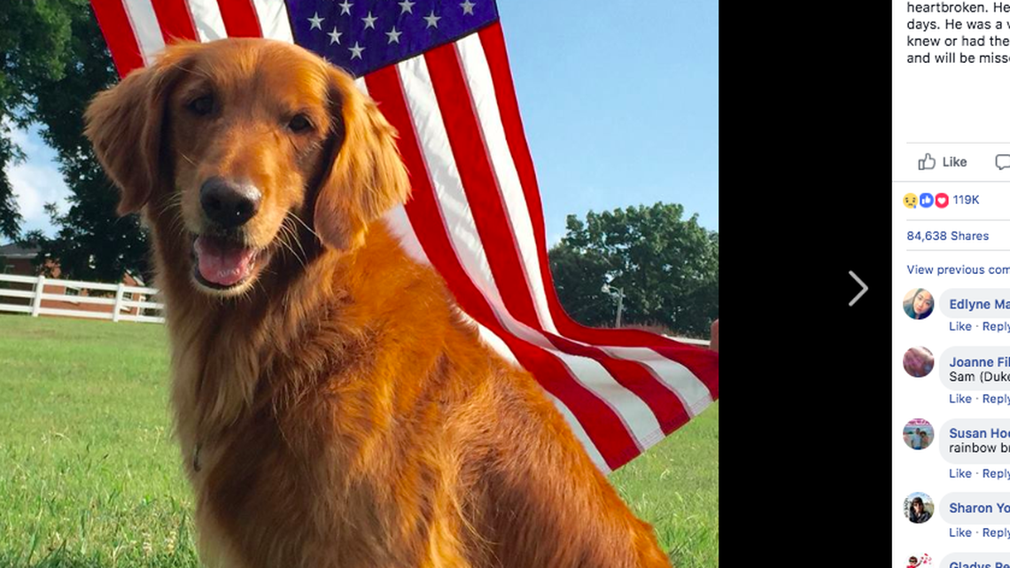 One of the dogs who portrayed the spokesdog 'Duke' in commercials for Bush's Beans was euthanized after a battle with an aggressive cancer. Fans are paying tribute to the special dog, whose real name was Sam.