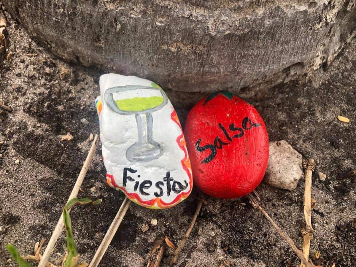 Creativity doesn’t miss a beat when it comes to the painted rocks.