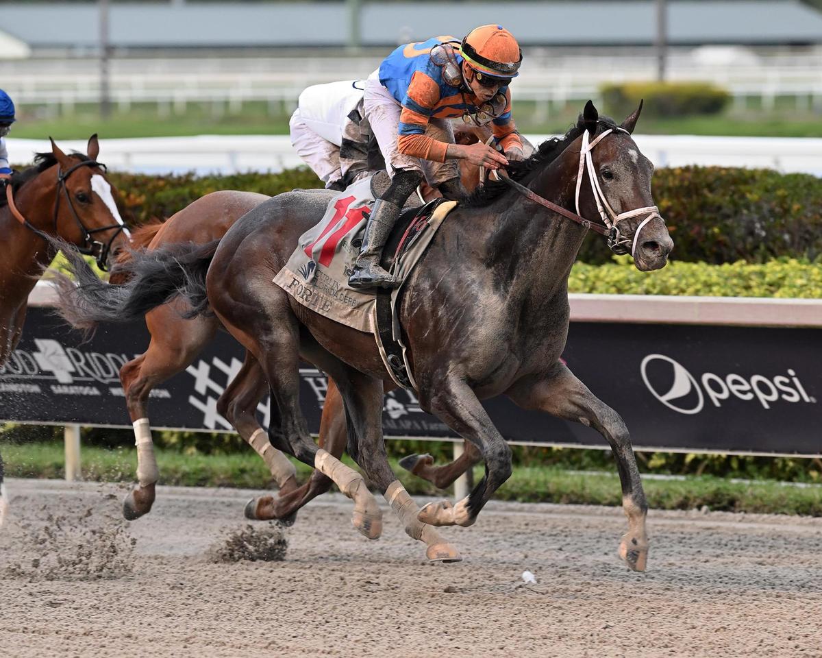 Jockey Irad Ortiz Jr. said Forte found another gear to win the $1 million Florida Derby.
