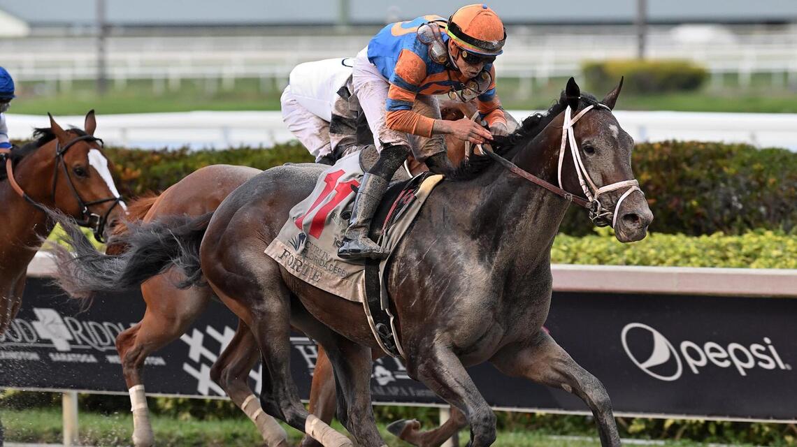 Forte finds another gear, rallies to win the Florida Derby at Gulfstream Park