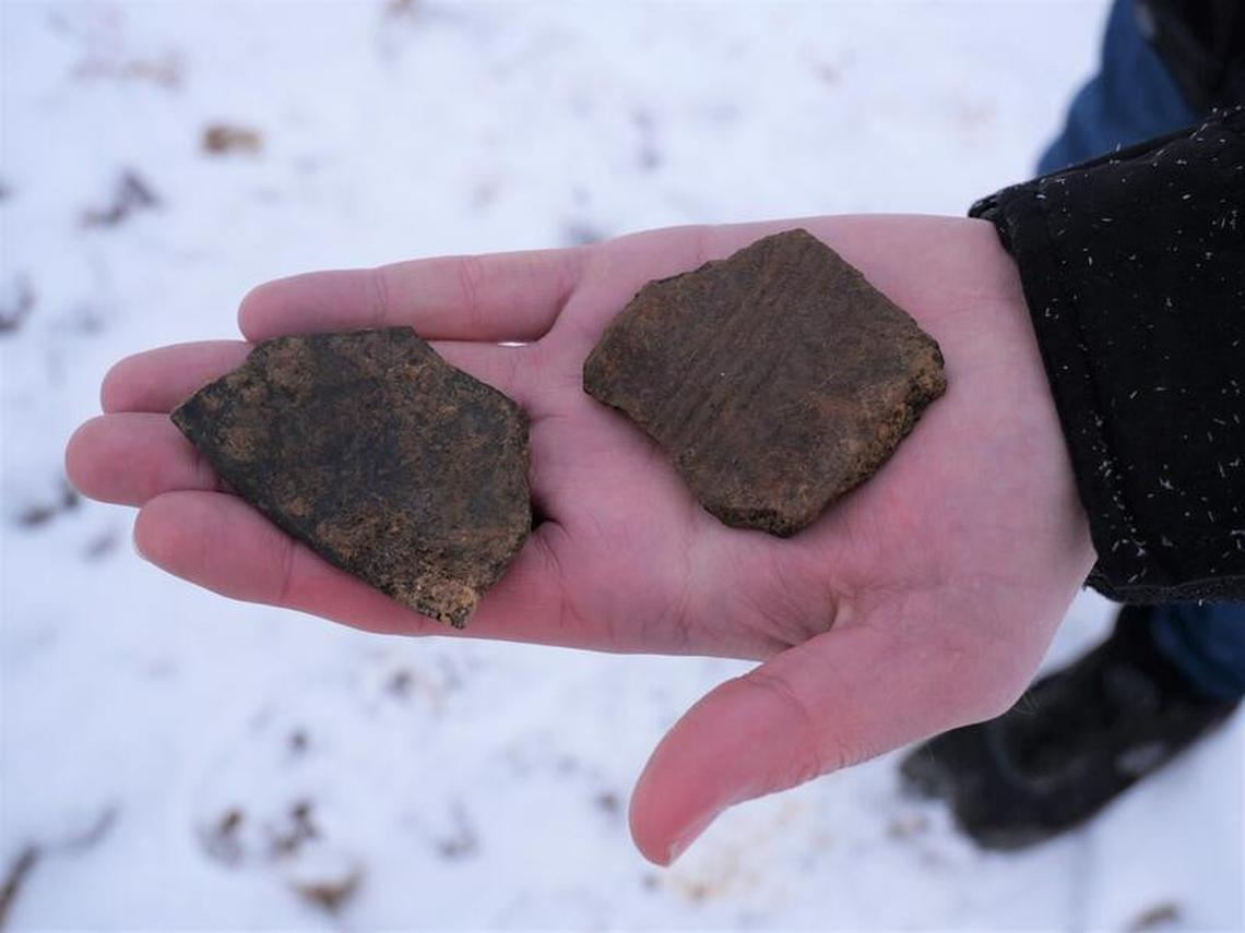 Potshards found in the storage pit.
