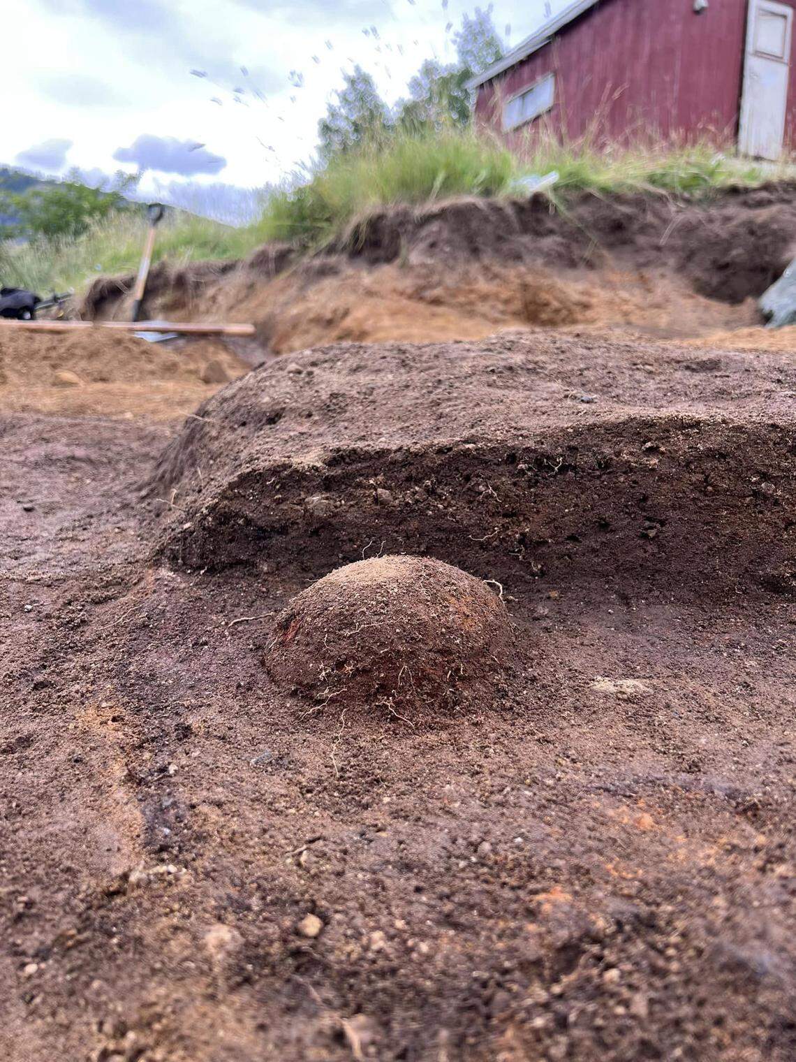 The bulge of the shield as it sits partially buried.