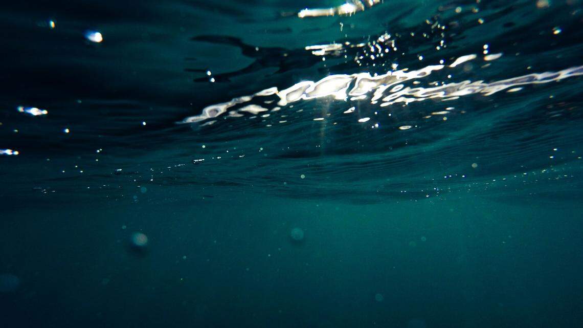 In deep-sea hot vents along a chain of underwater volcanoes, a small creature glitters on the seafloor.