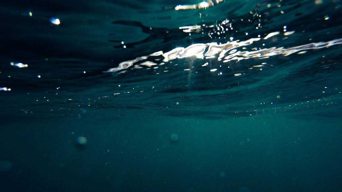 In deep-sea hot vents along a chain of underwater volcanoes, a small creature glitters on the seafloor.