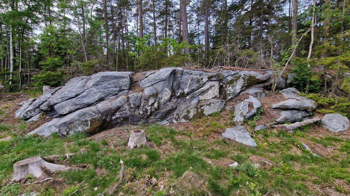 A man hiking with family in Moss, Norway, noticed an unusual rock and found an ancient painting, archaeologists said and photos show.