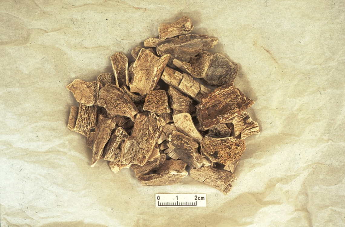 The cremated bone fragments found at the cemetery.