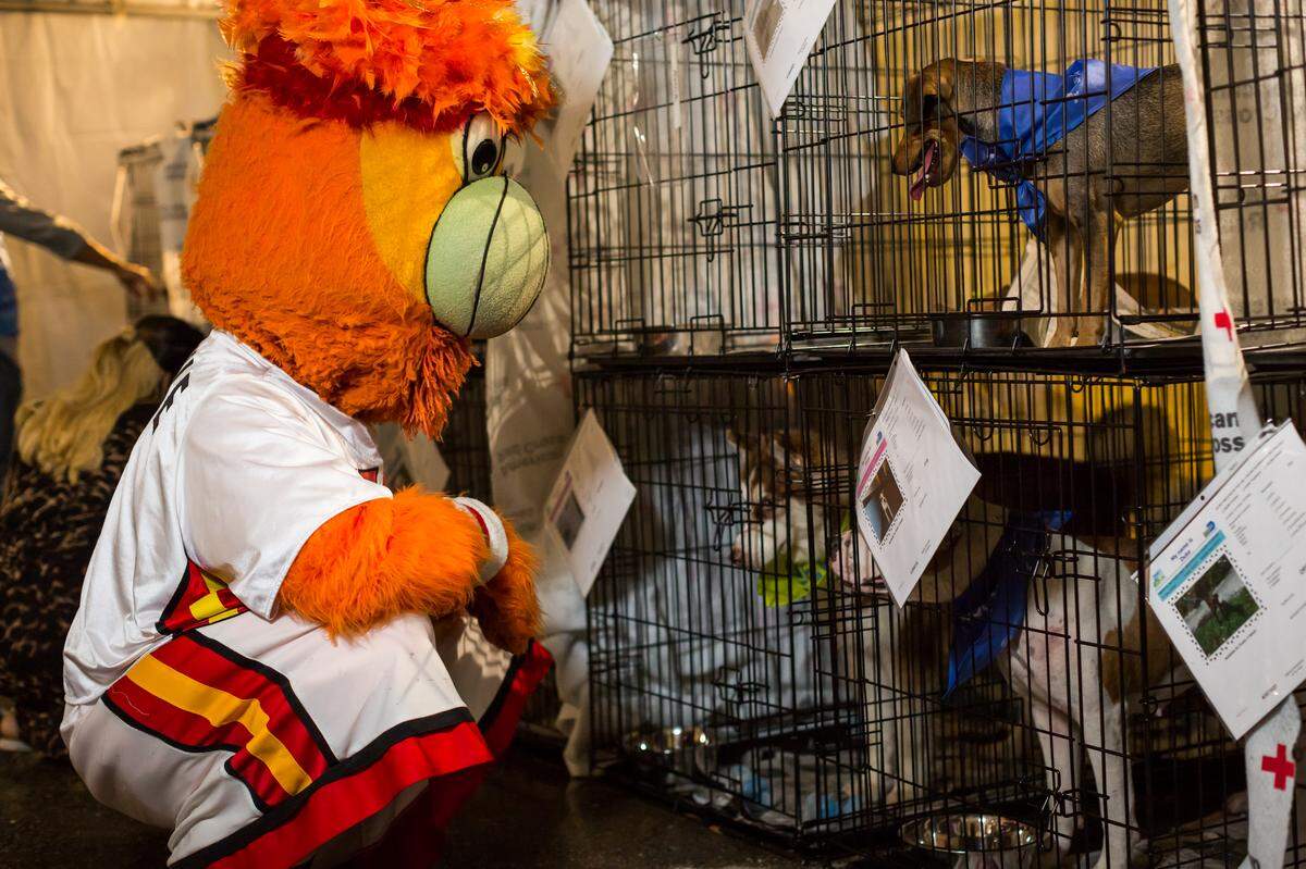 Burnie and the Miami Heat dancers will be there, too.