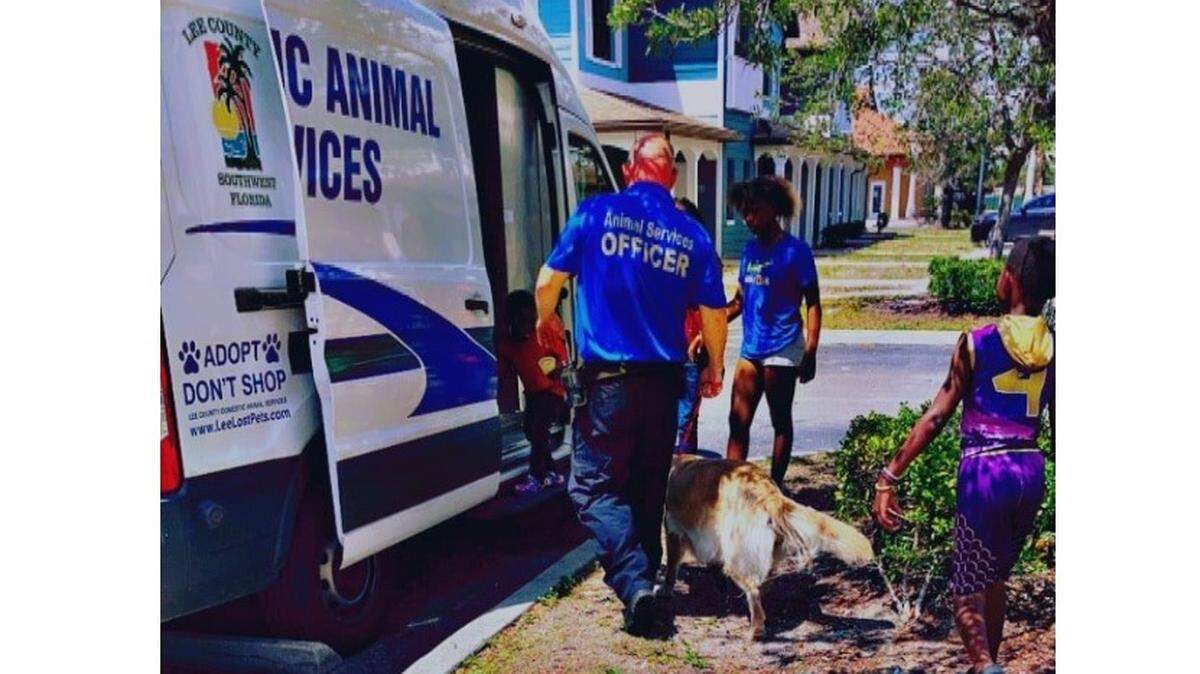 A Southwest Florida woman woke up to to find two golden retrievers in her front yard and fortunately, one was microchipped so they could get back home 