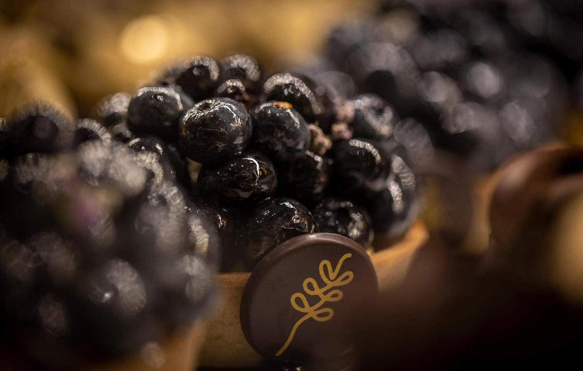 Blueberry tarts on display at the counter of L’Artisane Creative Bakery in Coral Gables
