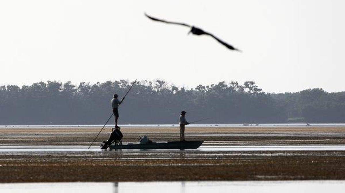 Gov. Ron DeSantis named four more appointments to the South Florida Water Management District on Thursday, the state’s largest district overseeing efforts to restore the Everglades.
