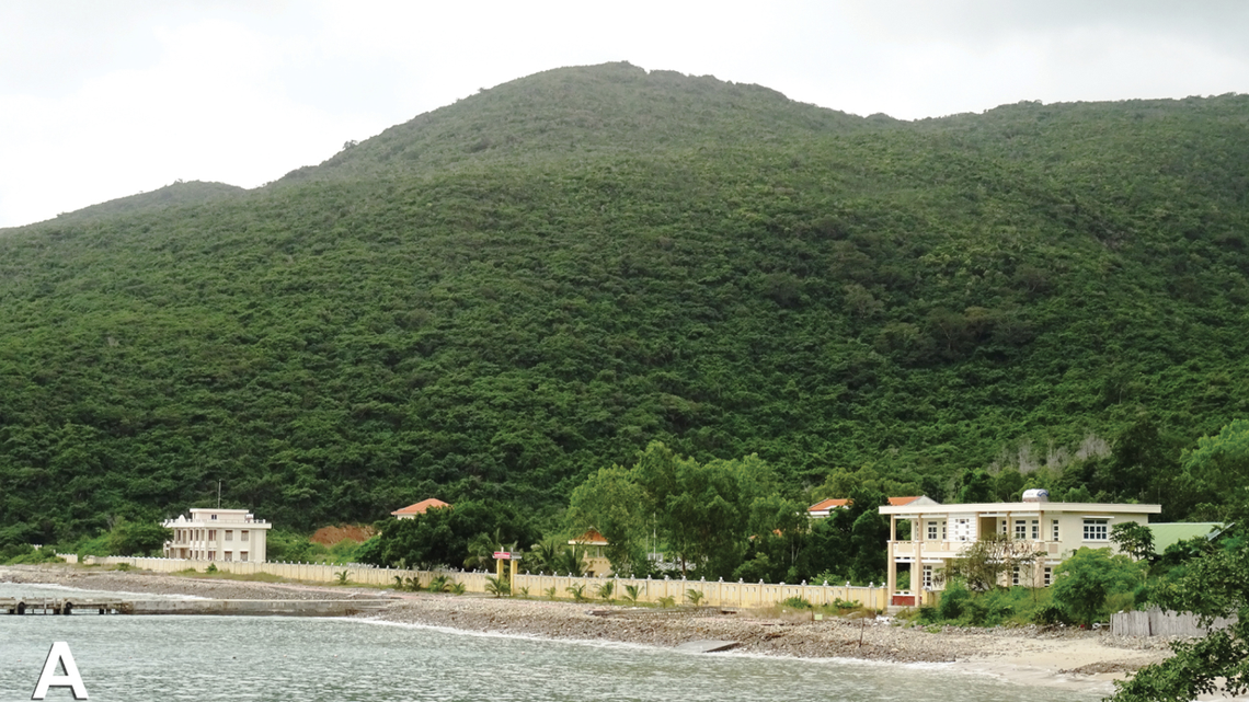 On a Vietnam resort island, a new species was found near a research station’s dumpster.