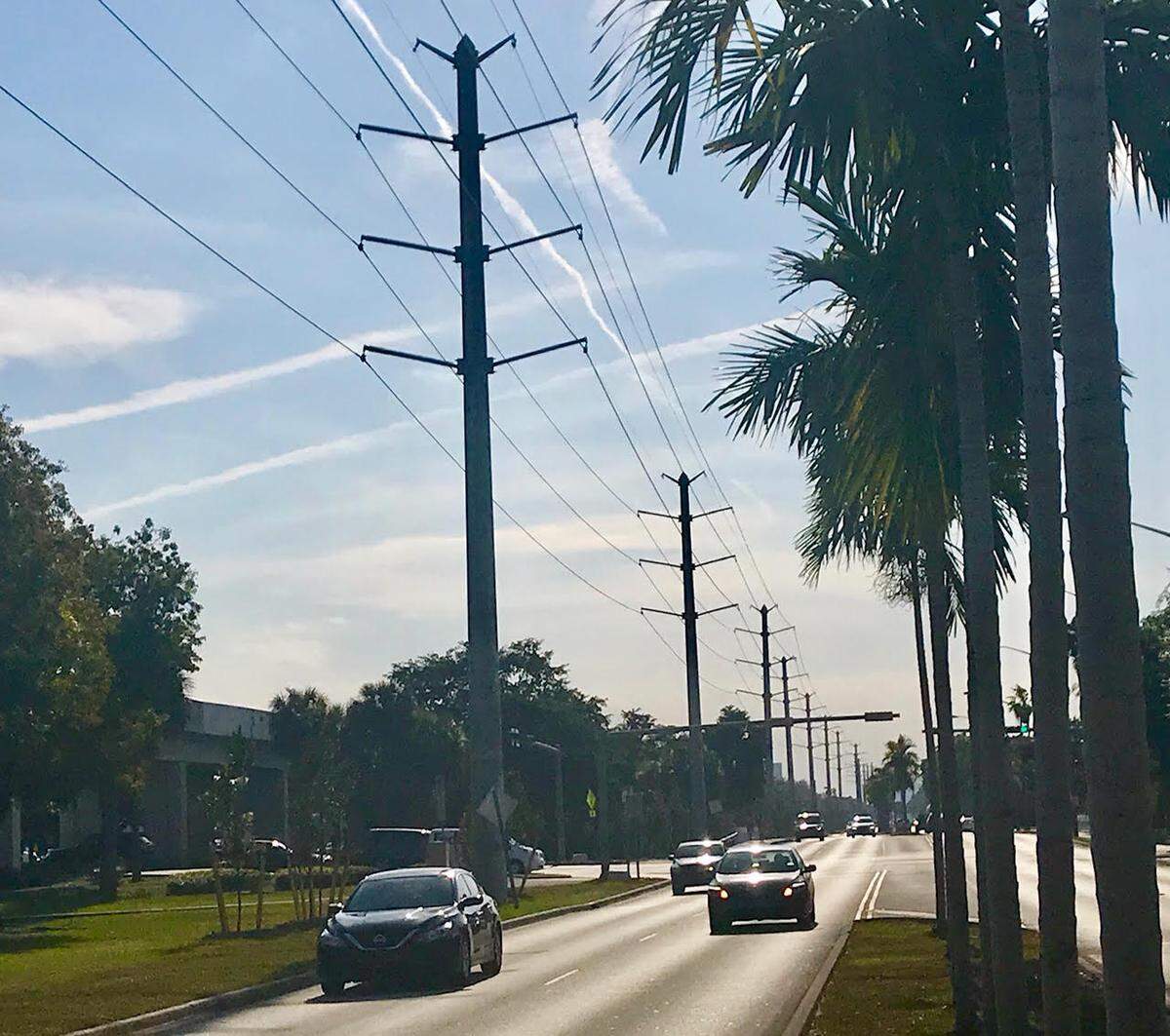 Transmission poles line Ponce de Leon Boulevard in Coral Gables.