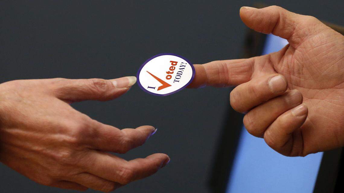 A moose? A peach? A transit system? Some Election Day stickers are cooler than others