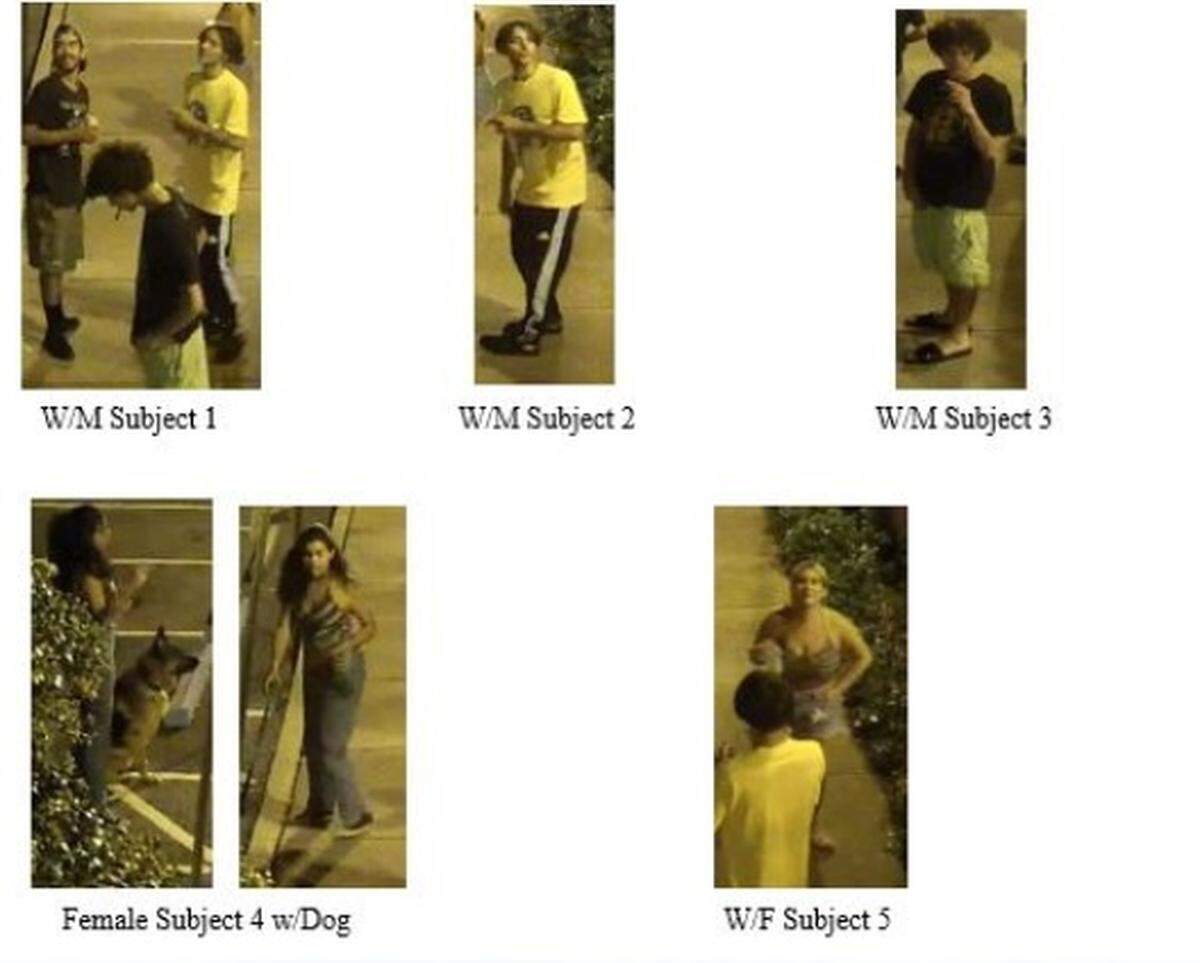 Coral Gables police released these images from surveillance video of five suspects, three males and two females, who they say vandalized private and public properties using graffiti on benches, city equipment, walls, fountains and a vehicle. Two of the males are also accused of removing two stools from P.Pole Pizza on Miracle Mile on Aug. 23, 2020.