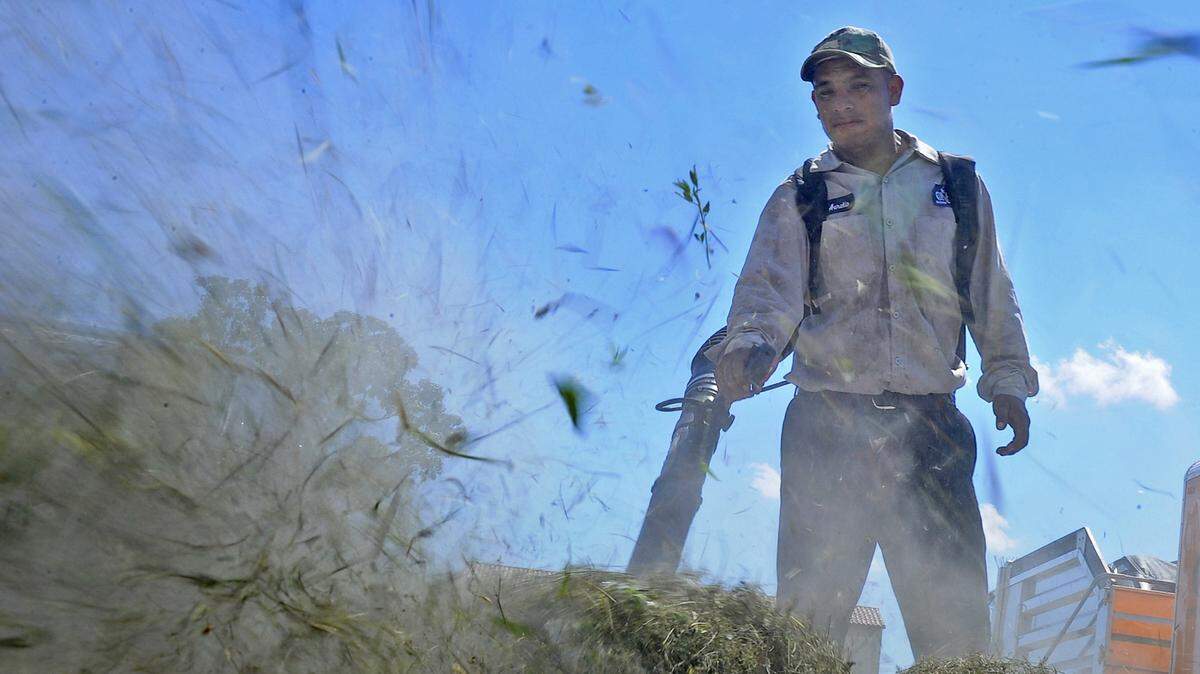 Gov. Ron DeSantis signed a Florida farm bill that strips local governments of the ability to regulate or fine the use of gas-powered equipment, starting in July.