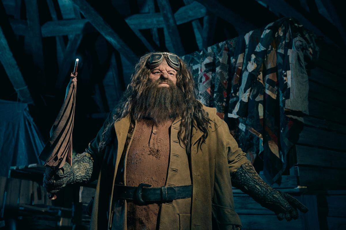 Hogwarts gamekeeper and Care of Magical Creatures professor Rubeus Hagrid appears as an animated figure in the queue for Hagrid’s Magical Creatures Motorbike Adventure at Universal’s Islands of Adventure.