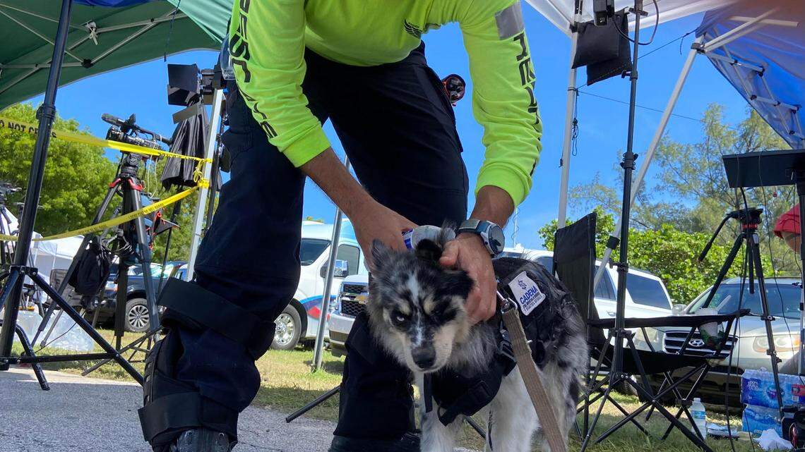 Moises Soffer, a volunteer rescuer with Cadena International, cools down Oreo, a dog trained to recover living victims, on Sunday, June 27, 2021, near the scene of the Champlain Towers collapse in Surfside, Florida.