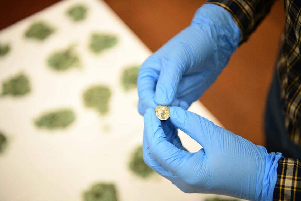 An expert holds a cleaned silver coin.