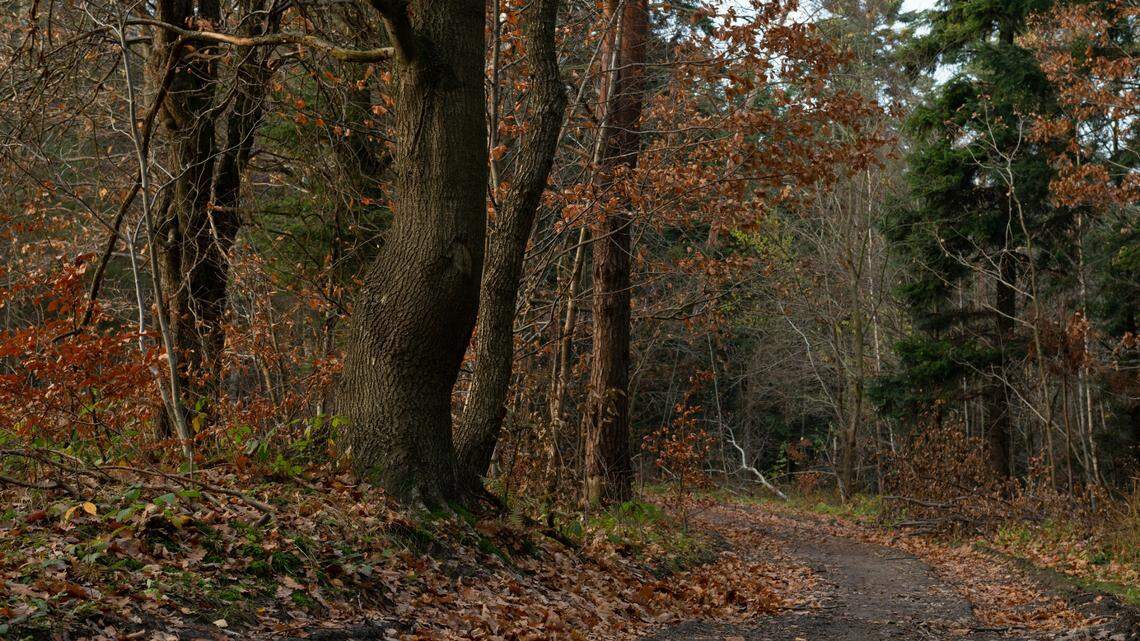At a site in south-central Poland, the burned remains of ancient warriors were uncovered.