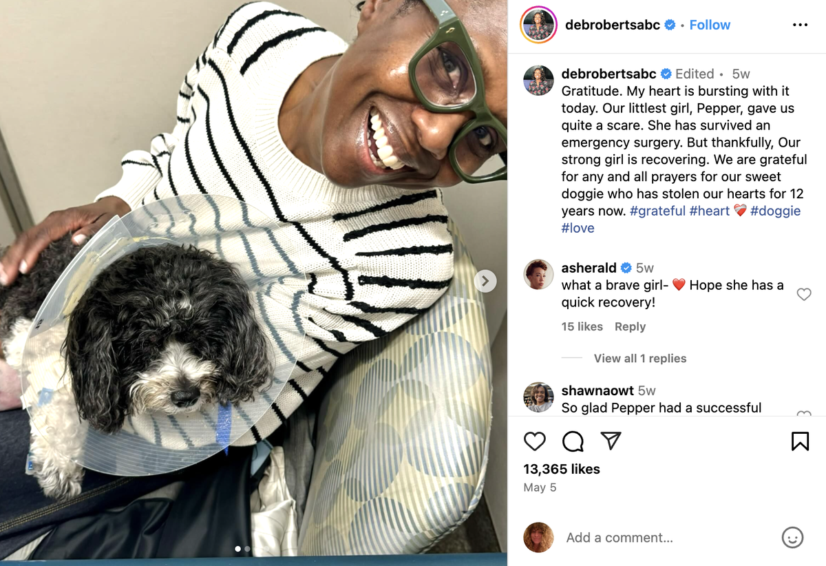 Al Roker and Deborah Roberts announce death of beloved dog