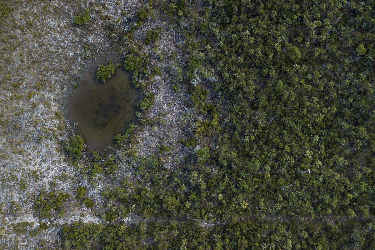 Aerial view of mangroves on Sugarloaf Key near Key West, Florida on Tuesday, December 18, 2018.