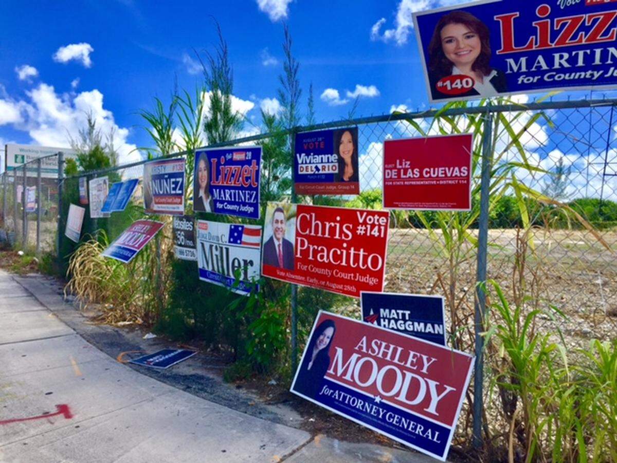 Campaign signs line the front of a vacant lot on Bird Road.