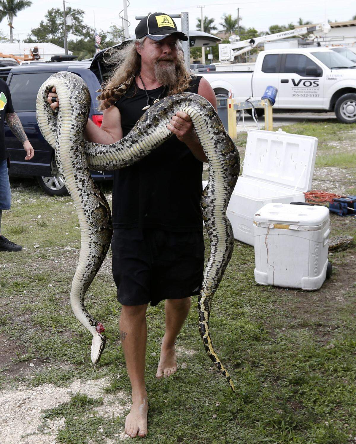 Python hunter Dusty Crum carries a python caught as part of South Florida Water Management District licensed hunting program in May. The state has been paying a select group of hunters to kill the invasive snakes on state lands since March 2017.