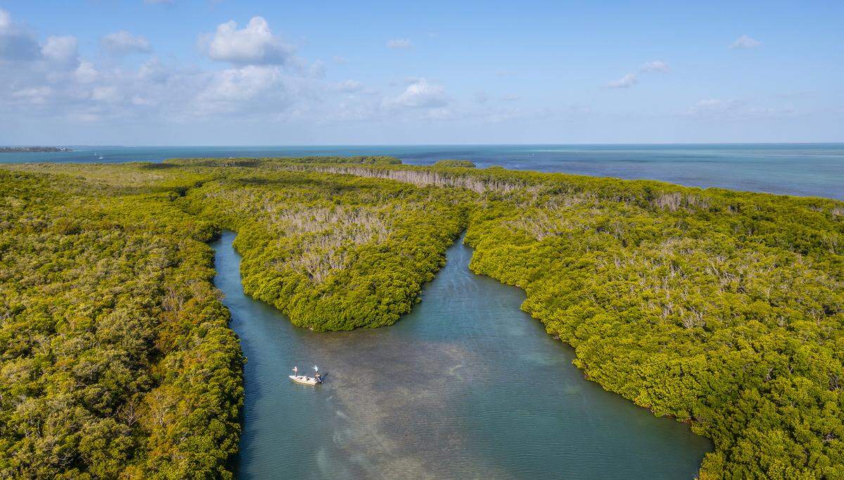 Islamorada, Florida: Florida Keys Fishing Captain Tim Klein directs a fly fishing client to find fish off of Islamorada in Florida Bay.