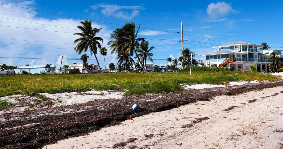 A waterfront lot recently bought by the Community Development Block Grant-Disaster Recovery funds for the Monroe County Voluntary Home Buyout Program at Long Pine Key in Layton, Florida, on Wednesday, Aug. 24, 2022.