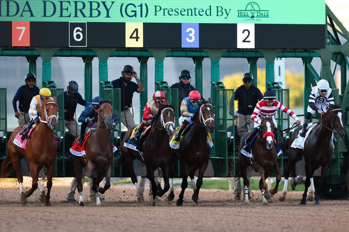 From left: The Puma (8) ridden by jockey Javier Castellano, Timeless Victory (7) ridden by jockey Jose Morelos, Nearly (6) ridden by jockey John Velazquez, Commandment (4) ridden by jockey Flavien Prat, Wayne's Law (3) ridden by jockey Marcos Meneses, and Chief Wallabee (2) ridden by jockey Junior Alvarado compete during the 75th Curlin Florida Derby race at Gulfstream Park on March 28, 2026, in Hallandale, Florida.