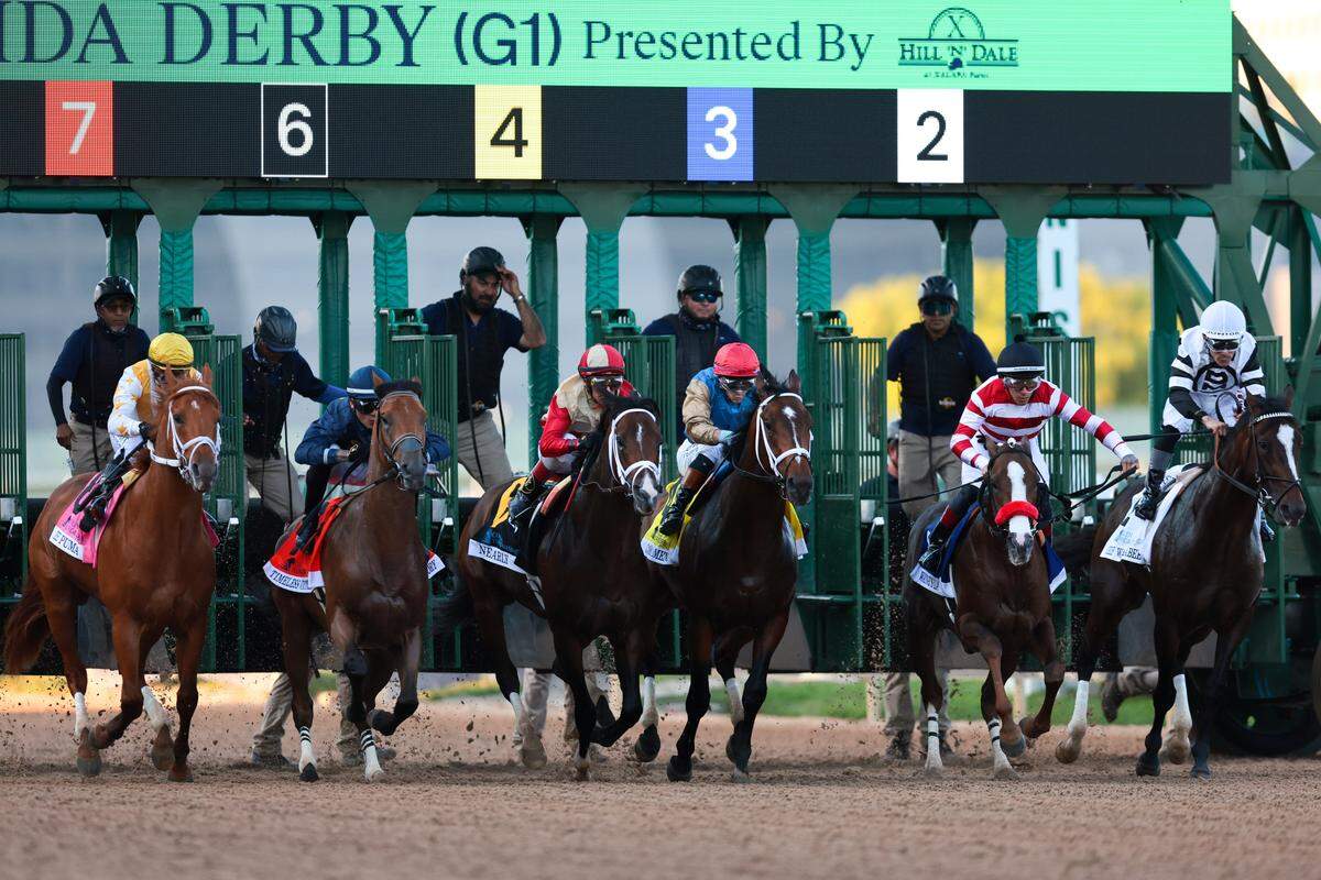 From left: The Puma (8) ridden by jockey Javier Castellano, Timeless Victory (7) ridden by jockey Jose Morelos, Nearly (6) ridden by jockey John Velazquez, Commandment (4) ridden by jockey Flavien Prat, Wayne's Law (3) ridden by jockey Marcos Meneses, and Chief Wallabee (2) ridden by jockey Junior Alvarado compete during the 75th Curlin Florida Derby race at Gulfstream Park on March 28, 2026, in Hallandale, Florida.