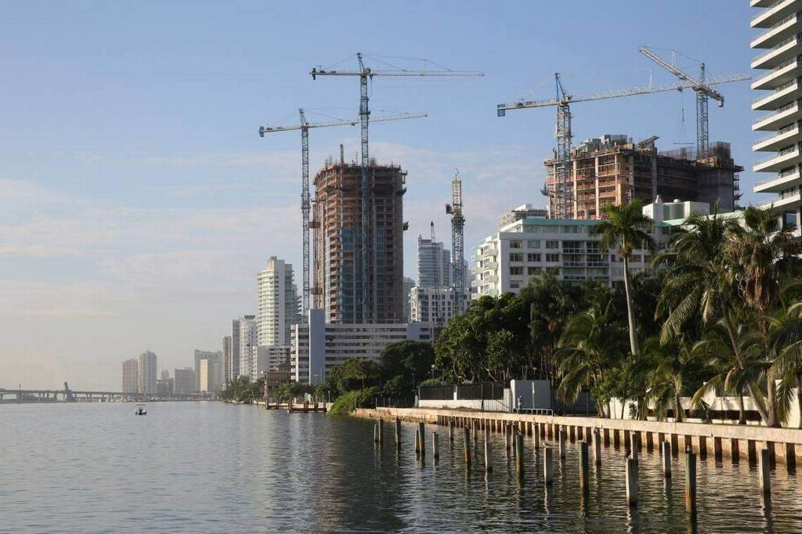 The crane has become the unofficial city bird of Miami during the latest construction boom.