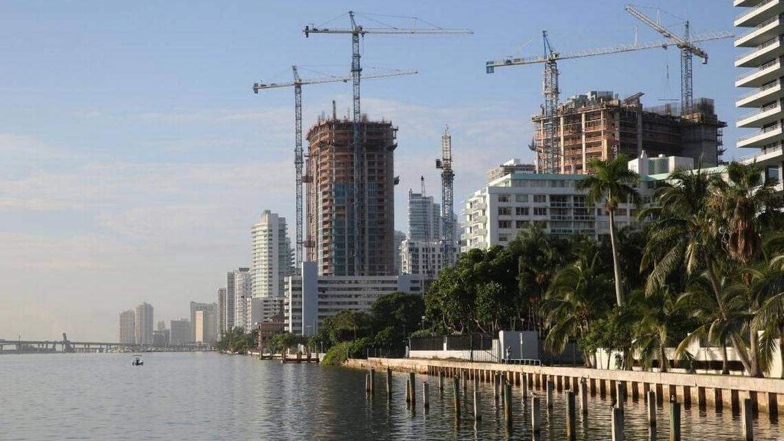 The crane has become the unofficial city bird of Miami during the latest construction boom.