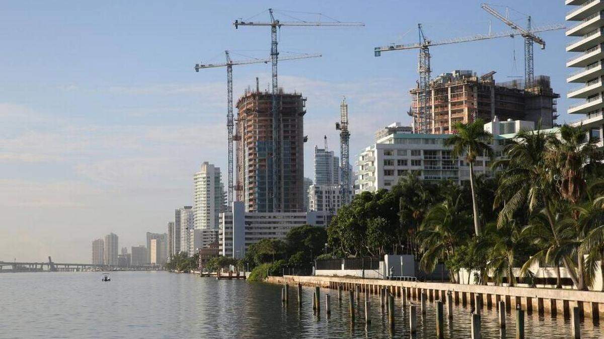 The crane has become the unofficial city bird of Miami during the latest construction boom.