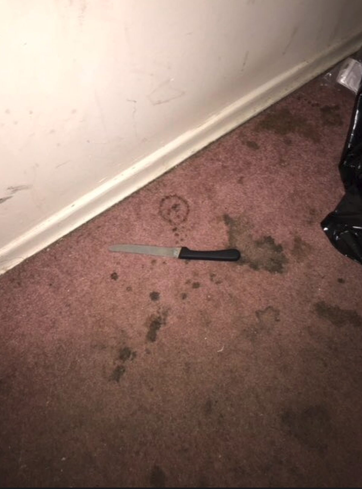 The knife that police say Susan Muller had when she attacked officers.