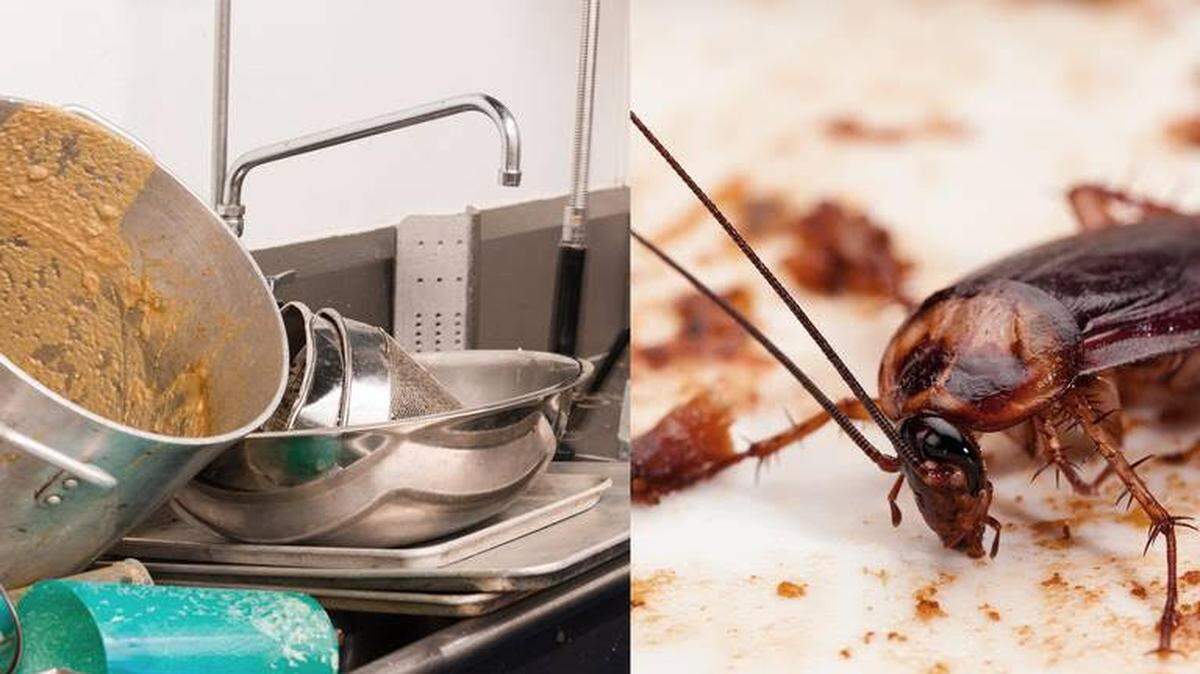 Filthy kitchens and roaches were some of the problems state inspectors found this week in South Florida restaurants.