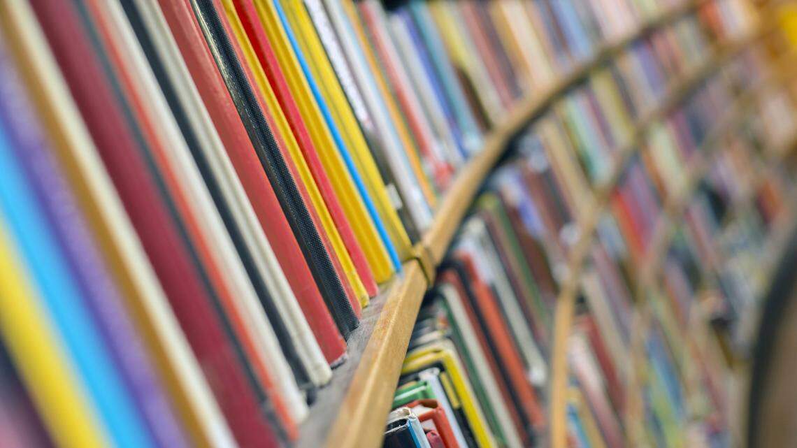 A Florida Department of Education work group is developing training that school librarians and media specialists will be required to undergo before July 2023.