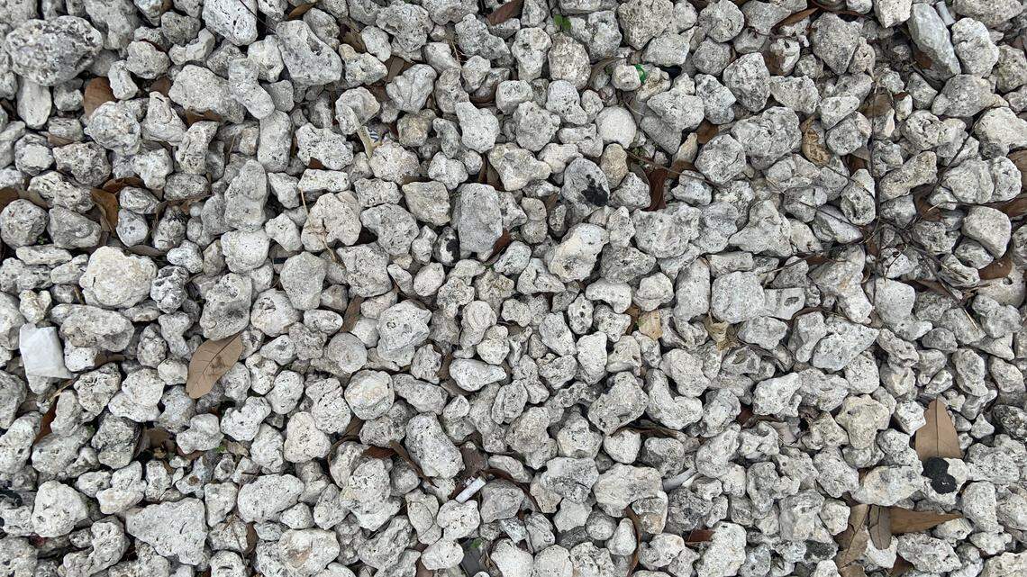 Gravel or small rocks