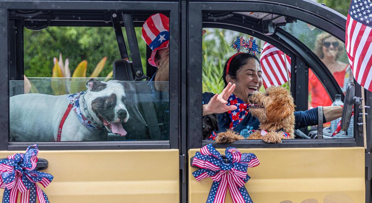 The Groom Spot drives through the parade on Crandon Blvd, celebrating Independence Day with their dogs, on Friday, July 4, 2025, in Key Biscayne, Fla.
