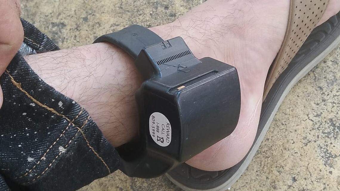 How Does an Electronic Home Detention Monitor Work: Ultimate Guide