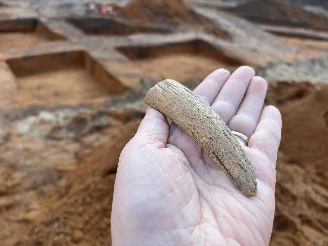 A boar’s tusk unearthed from the debris.