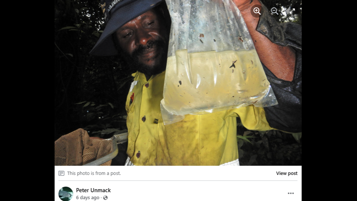 The environmental team of a mining company in Papua New Guinea rediscovered a species not seen for 40 years.