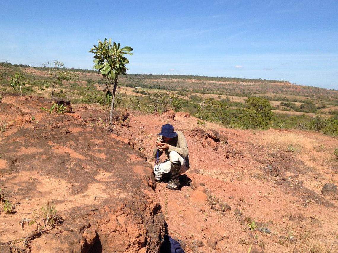 Researchers were looking for long-necked dinosaurs when they discovered something completely new.