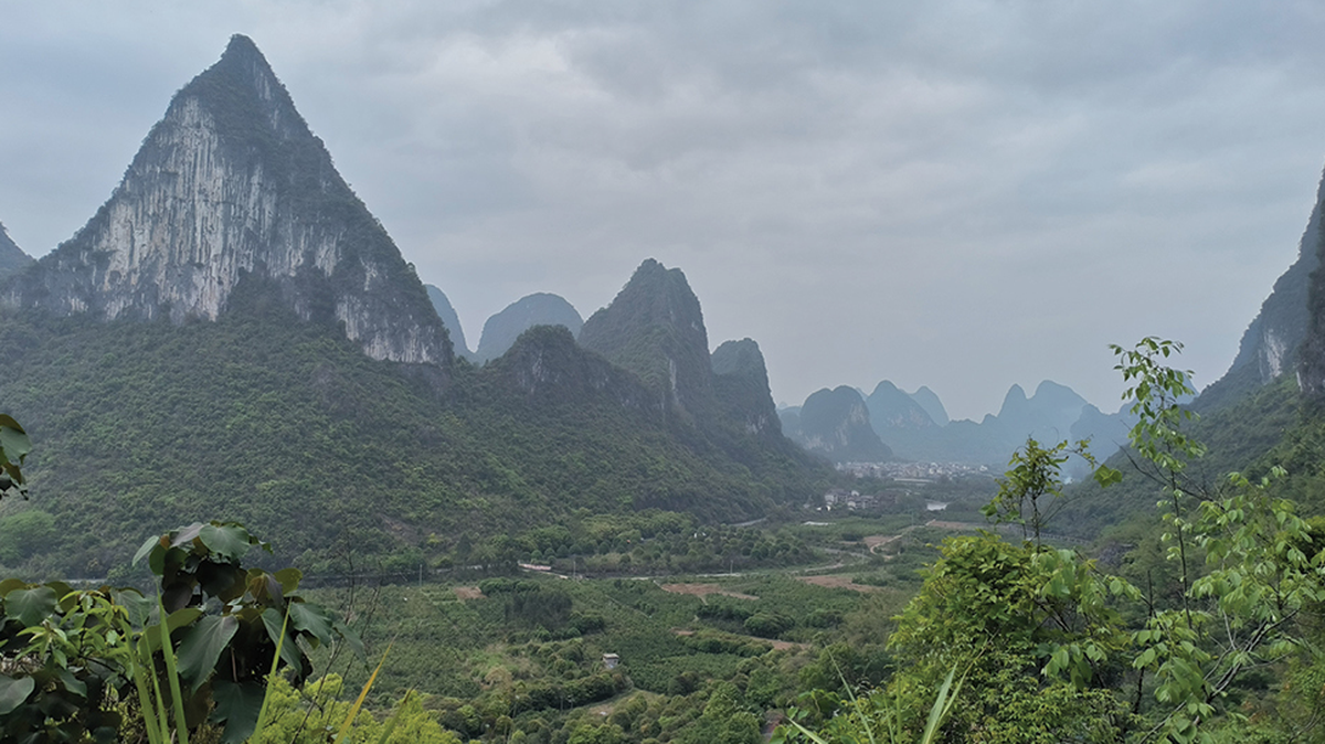 In the karst mountains of southern China, a new species shows off its climbing skills.