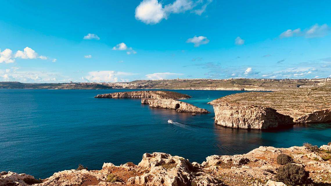 Off the coast of Malta, a fisherman caught a creature he didn’t recognize.