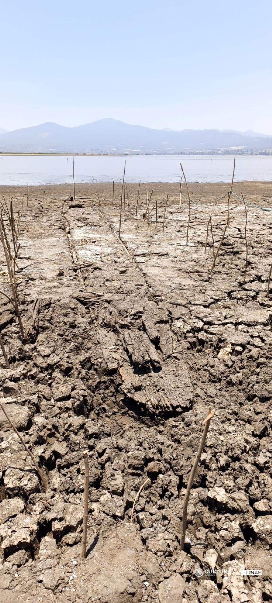 An ancient boat, nearly 50 feet long, emerged from the mud as the water receded.